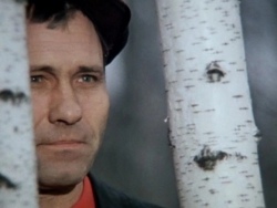 Кадр из фильма «Калина красная» (реж. Василий Шукшин)